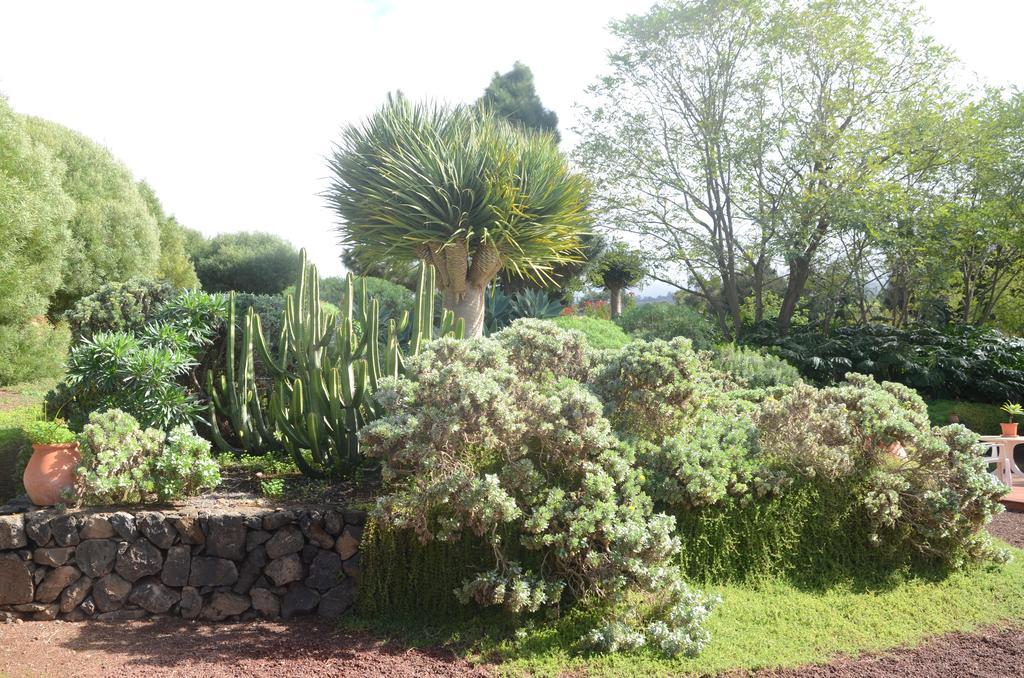 Casa Rural El Adelantado Tacoronte Exterior foto